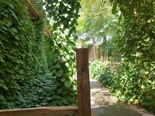 عکس سفره خانه سنتی 