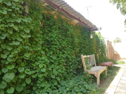 عکس سفره خانه سنتی فردین