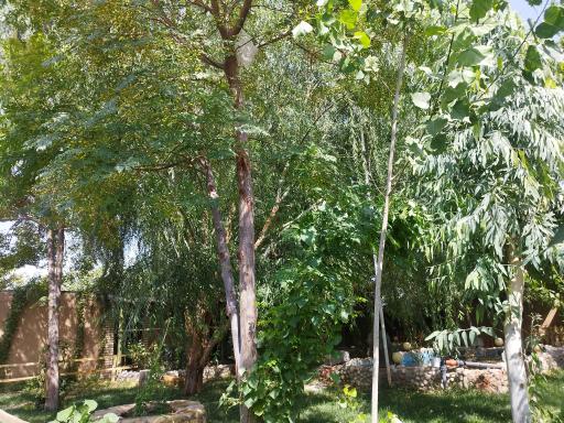 عکس سفره خانه سنتی فردین