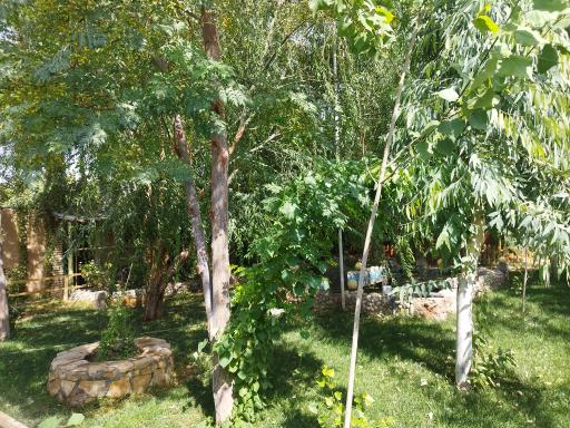 عکس سفره خانه سنتی فردین