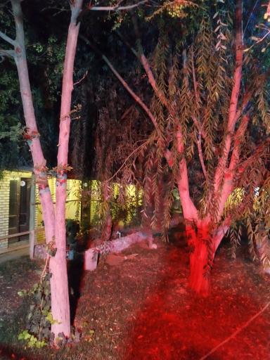عکس سفره خانه سنتی فردین