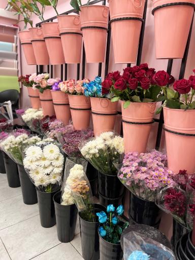 عکس گل فروشی نوژا