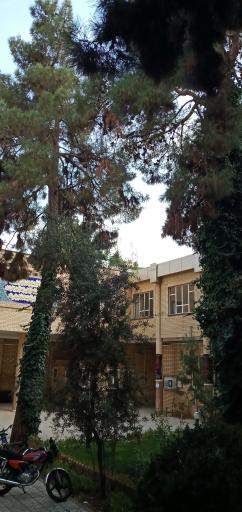 عکس حوزه علمیه فضل بن شاذان