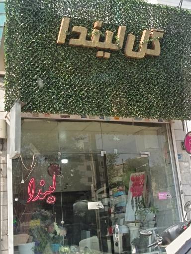 عکس گل لیندا