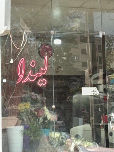 عکس گل لیندا