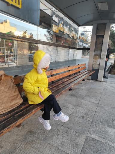 عکس  ابتدای شاهد