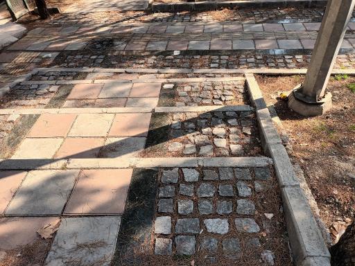 عکس بوستان لادن