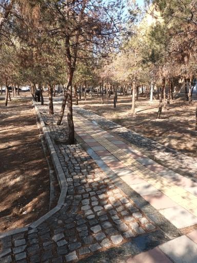 عکس بوستان لادن