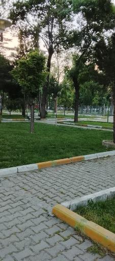 عکس پارک سید قطب