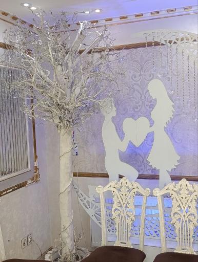 عکس دفتر رسمی ازدواج  شماره ۲۰۷