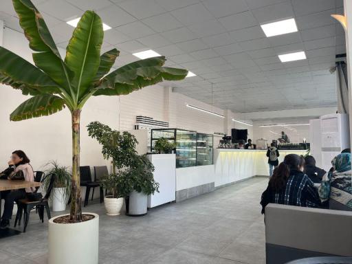 عکس کافه رستری نوژ