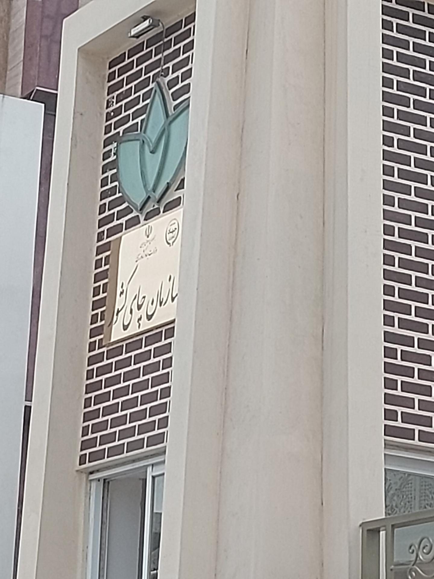 عکس سازمان چای کشور 