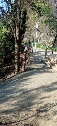 عکس بوستان جنگلی طالقانی