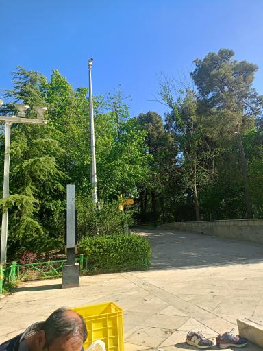 عکس بوستان جنگلی طالقانی