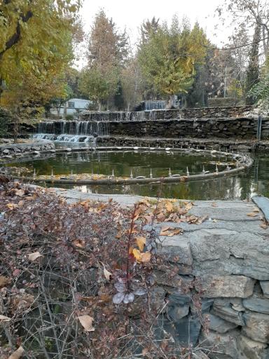 عکس بوستان جنگلی طالقانی