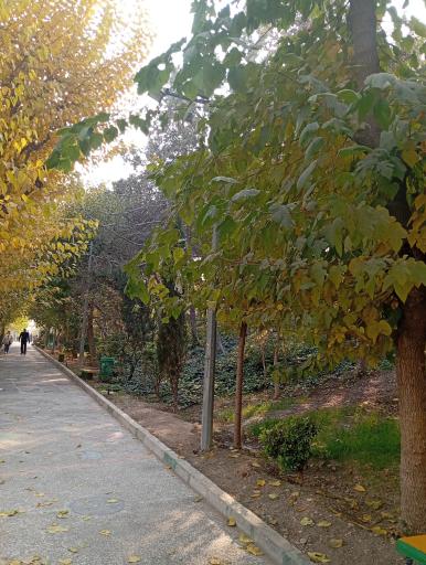 بوستان جنگلی طالقانی