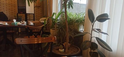 عکس هتل پیشان