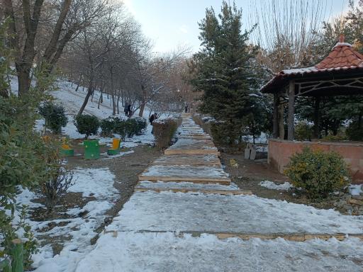 عکس بوستان جنگلی طالقانی