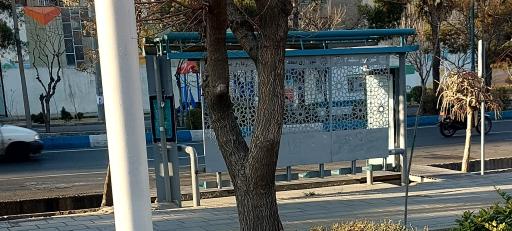 عکس شاهد