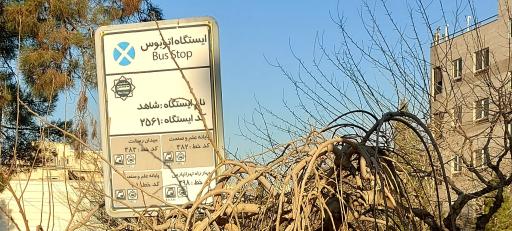 عکس شاهد