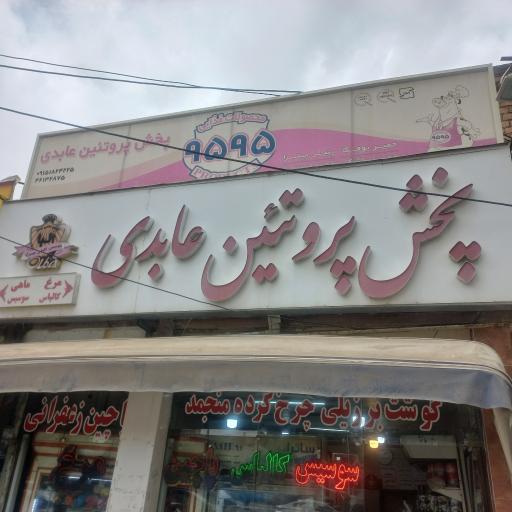عکس پخش پروتئین عابدی