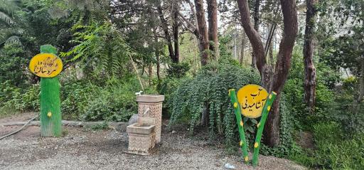 عکس بوستان جنگلی طالقانی