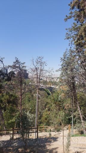عکس بوستان جنگلی طالقانی