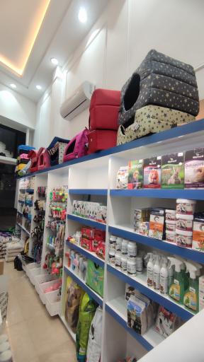 عکس پت شاپ برجیس (بلو سابق)