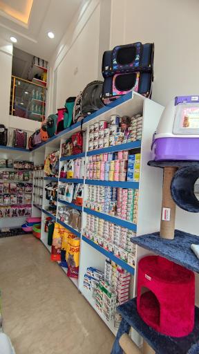 عکس پت شاپ برجیس (بلو سابق)