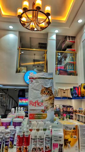 عکس پت شاپ برجیس (بلو سابق)