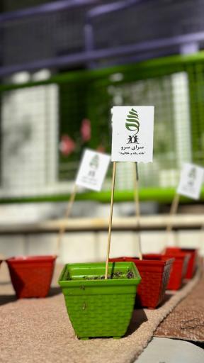 عکس خانه رشد و خلاقیت سرو