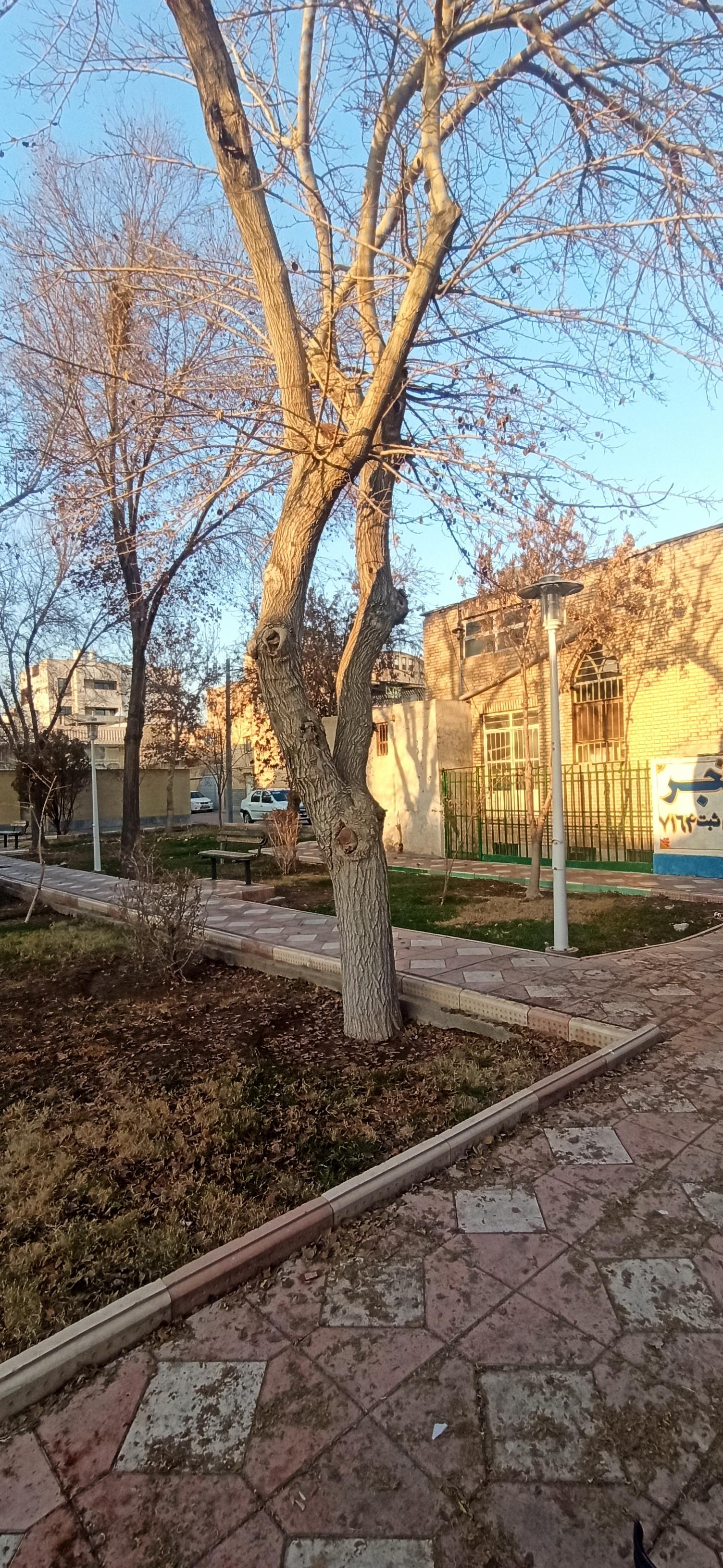 عکس بوستان رضوی 