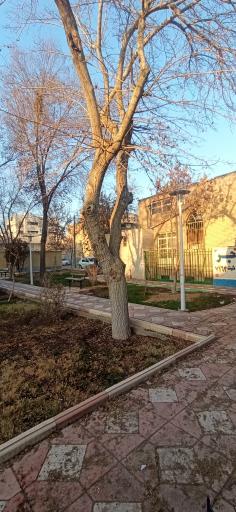 عکس بوستان رضوی 