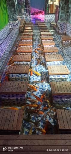 عکس آکواریوم پارک شهر