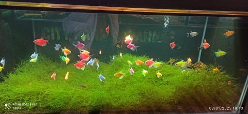 عکس آکواریوم پارک شهر