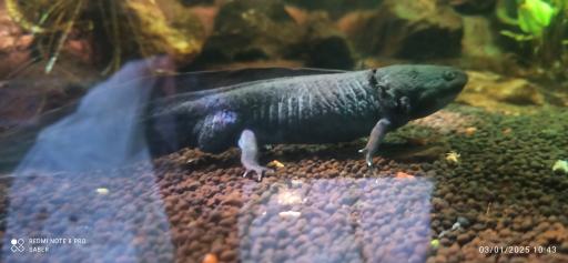 عکس آکواریوم پارک شهر