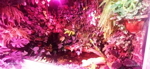 عکس آکواریوم پارک شهر