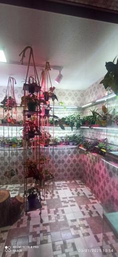 عکس آکواریوم پارک شهر