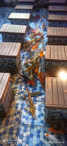 عکس آکواریوم پارک شهر