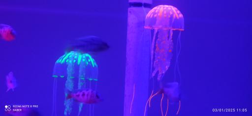 عکس آکواریوم پارک شهر