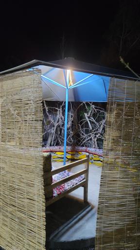 عکس کافه باغچه