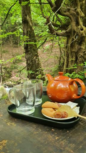 عکس نویان کافه