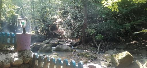 عکس نویان کافه