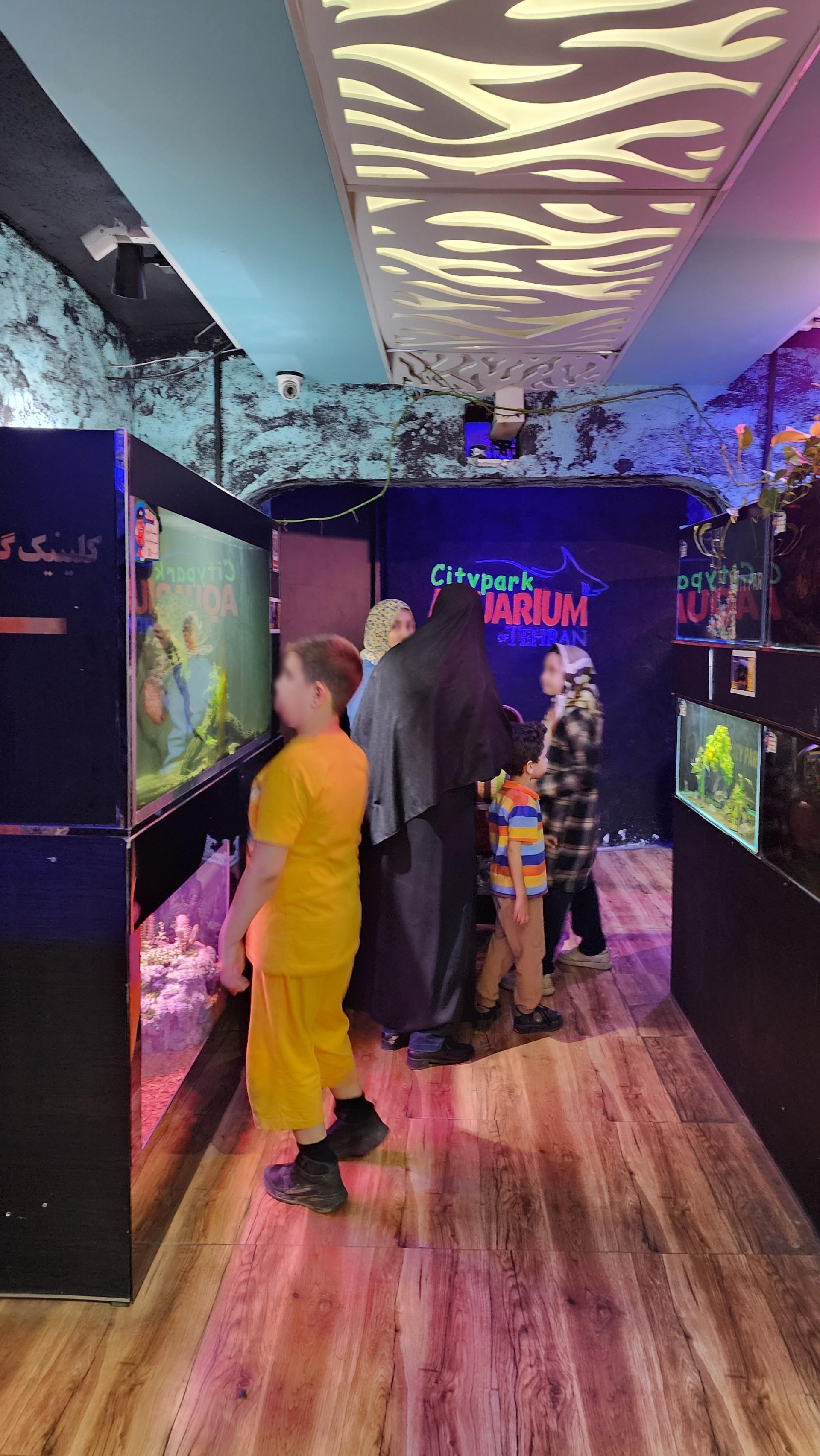 عکس آکواریوم پارک شهر