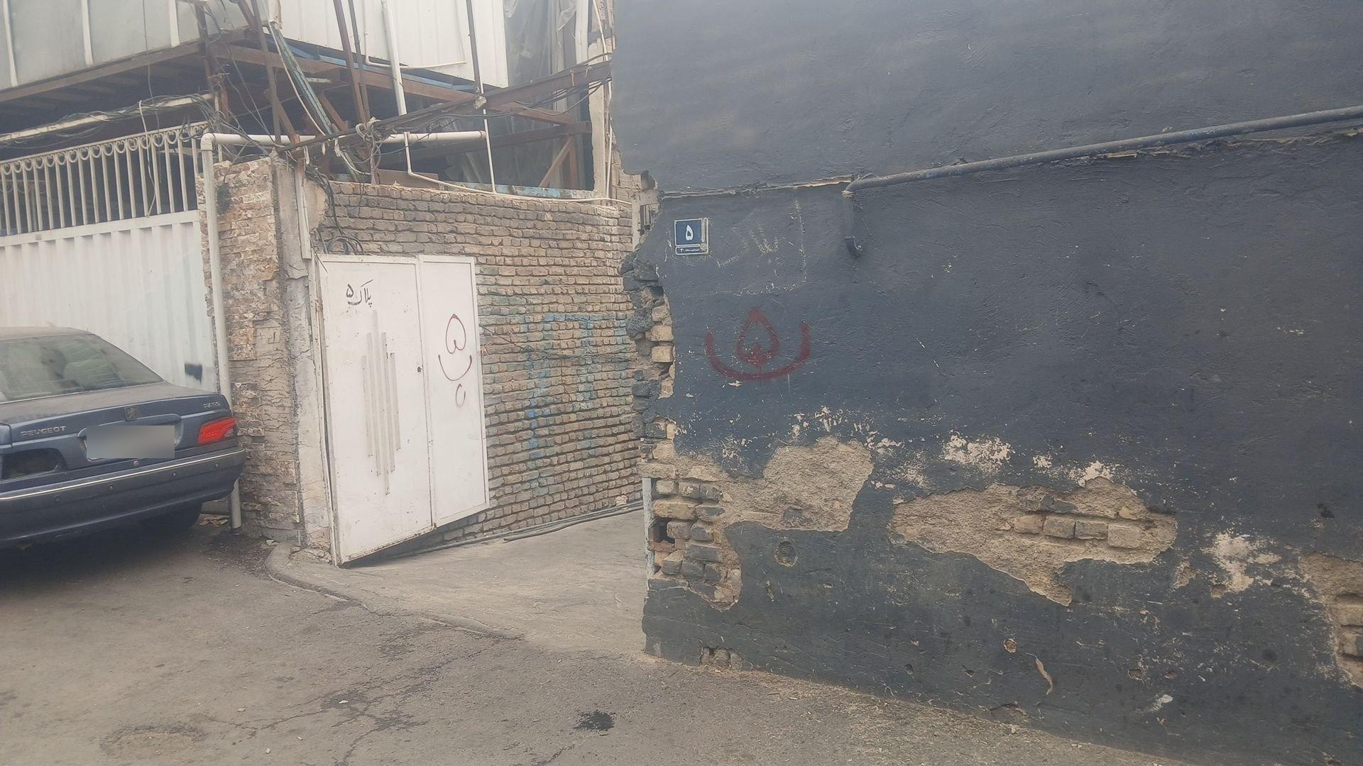 عکس دام زنده کریمی