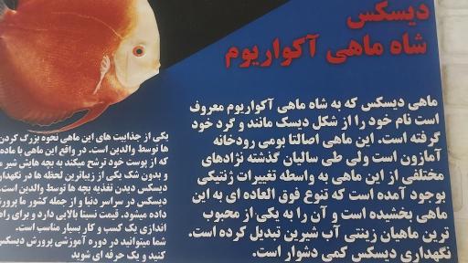 عکس آکواریوم پارک شهر