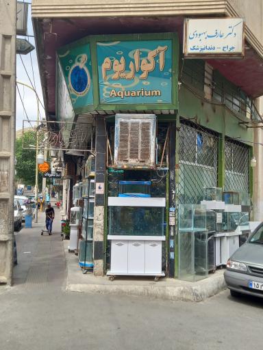 عکس آکواریم جهان