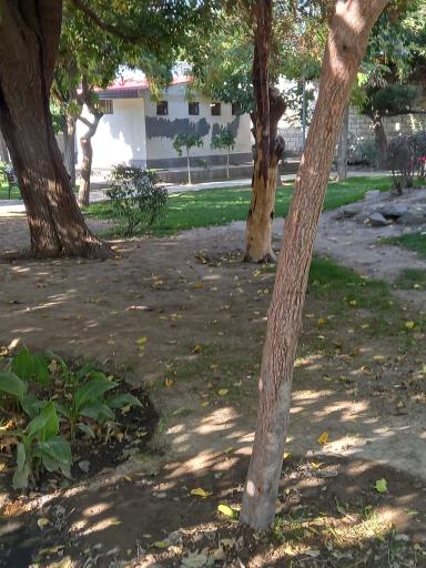 عکس سرویس بهداشتی