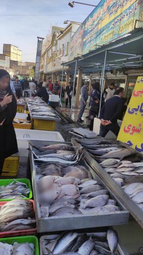 عکس بازار ماهی خراسان رضوی