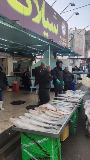عکس بازار ماهی خراسان رضوی
